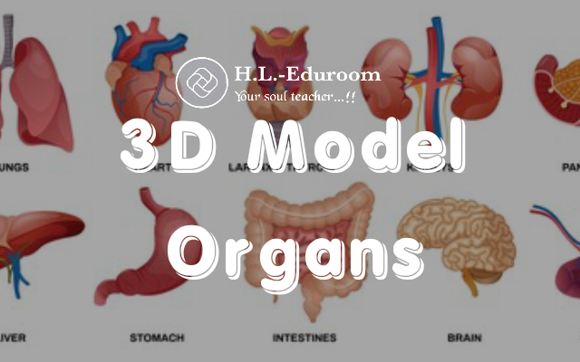 Body Part Anatomy