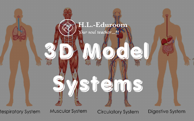 System Anatomy